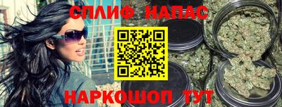 сатива Лесосибирск