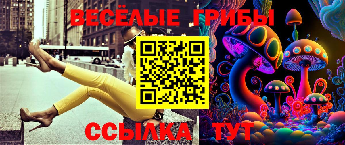 Галлюциногенные грибы Psilocybine cubensis Шахты